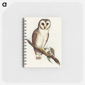 アートメモ帳-Delicate Owl
 - オーストラリアの鳥 Memo.