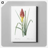 1-68_The-Lilies_canvas