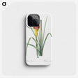 1-68_The-Lilies_phone