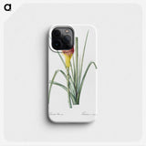 1-68_The-Lilies_phone