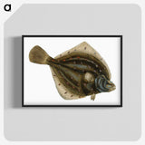 1-68_The-Natural-History-of-British-Fishes_blk-crop