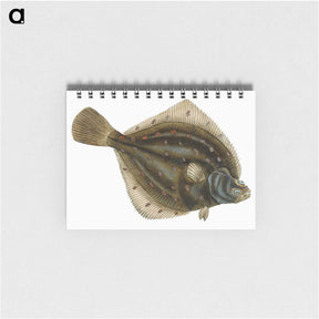 1-68_The-Natural-History-of-British-Fishes_memo