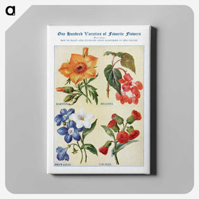1-68_The-Open-Door-to-Independence_canvas