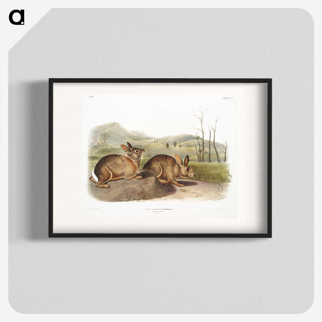 1-68_The-Viviparous-Quadrupeds_blk