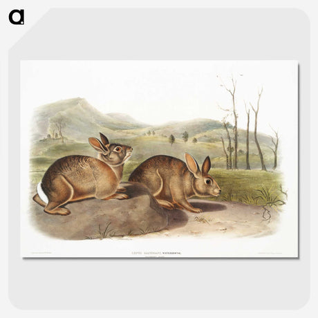 1-68_The-Viviparous-Quadrupeds_picture-crop