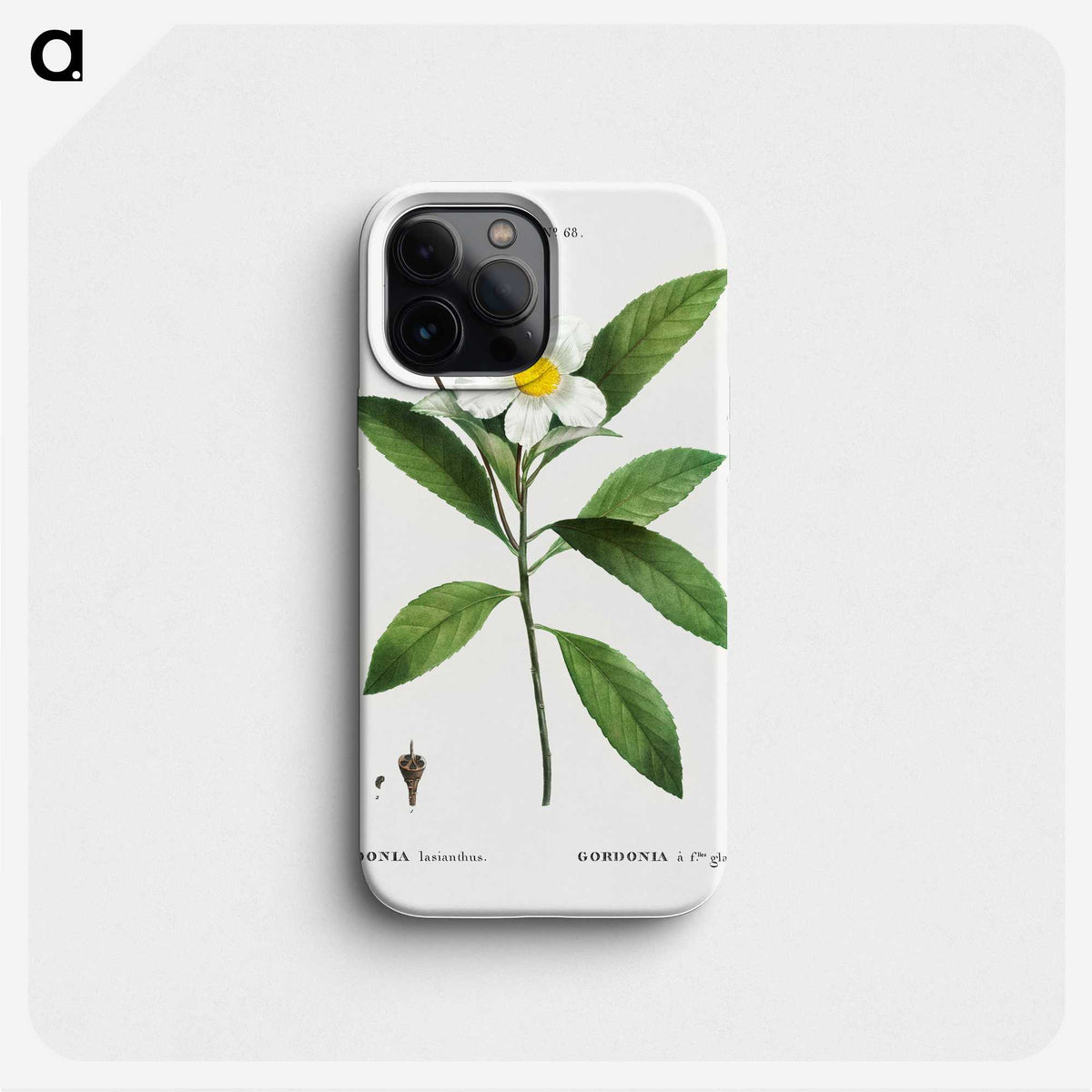 1-68_Treatise-on-Trees-and-Shrubs_phone