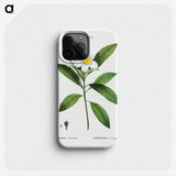 1-68_Treatise-on-Trees-and-Shrubs_phone