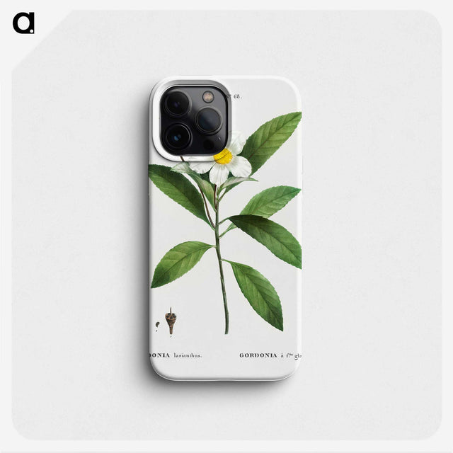 1-68_Treatise-on-Trees-and-Shrubs_phone