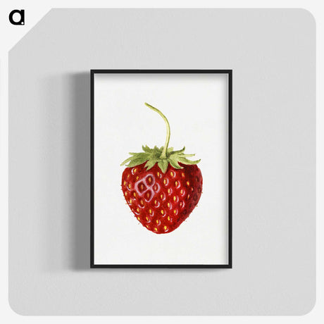 1-68_USDA-Watercolor-Fruit-Painting-Collection_blk-crop