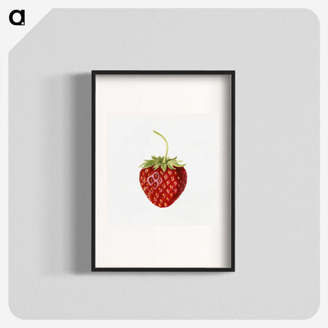 1-68_USDA-Watercolor-Fruit-Painting-Collection_blk