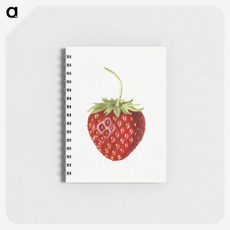 1-68_USDA-Watercolor-Fruit-Painting-Collection_memo