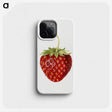 1-68_USDA-Watercolor-Fruit-Painting-Collection_phone