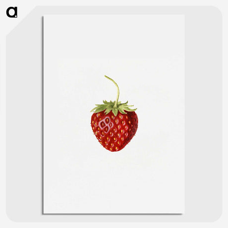 1-68_USDA-Watercolor-Fruit-Painting-Collection_picture