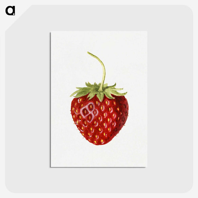 1-68_USDA-Watercolor-Fruit-Painting-Collection_postcard