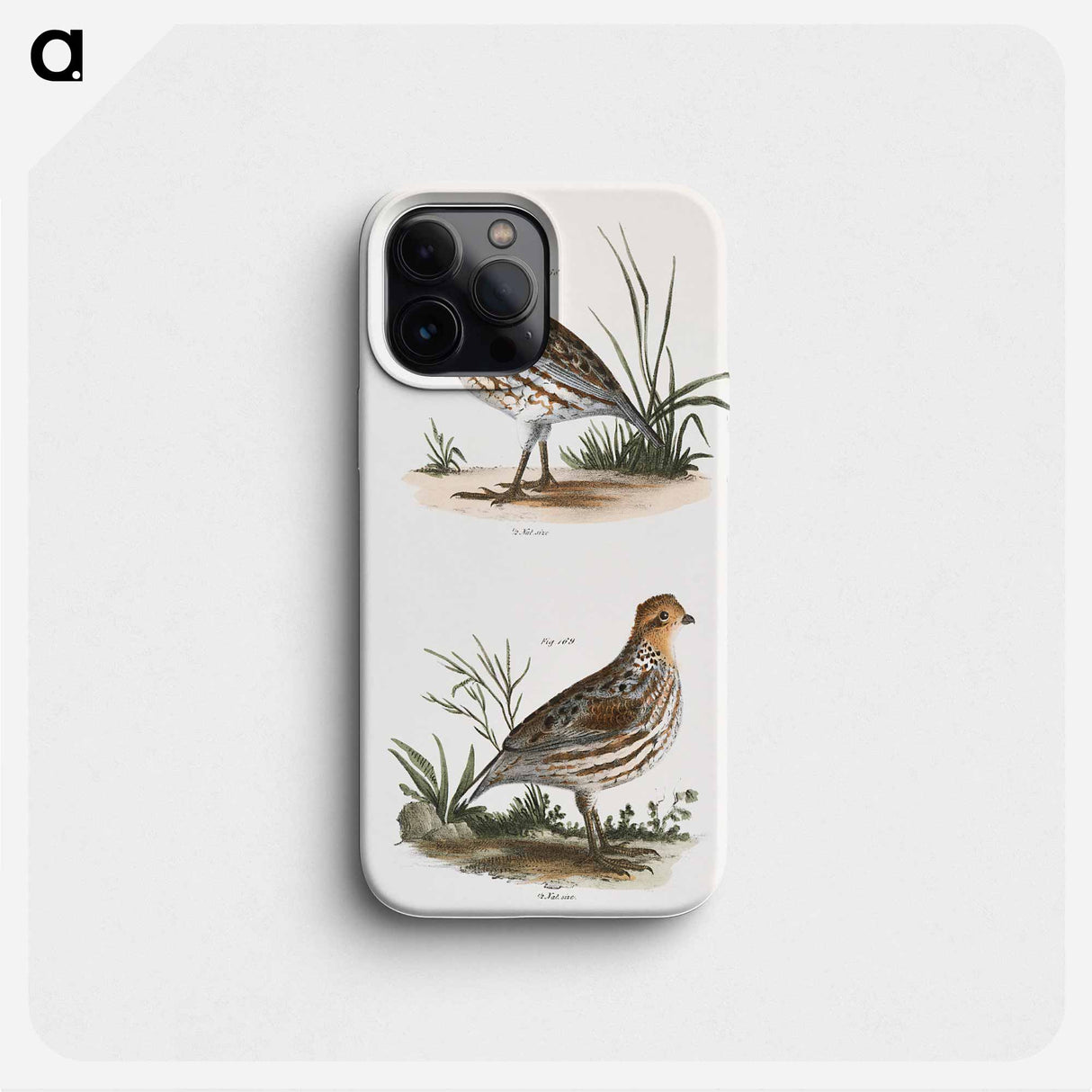 American Quail - ニューヨークの動物学 Phone Case.