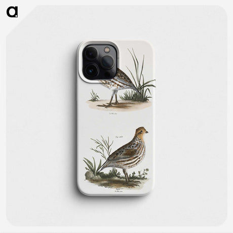 1-68_Zoology-of-New-York_phone