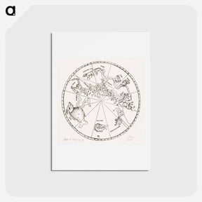 アートポストカード-The Southern Hemisphere of the Celestial Globe - アルブレヒト デューラー Postcard.