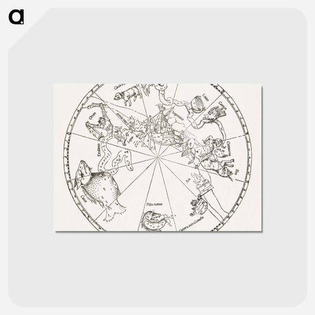 アートポストカード-The Southern Hemisphere of the Celestial Globe - アルブレヒト デューラー Postcard.
