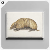 1-69_Anselmus-Boetius-de-Boodt_canvas