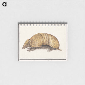 アートメモ帳-Bullet armadillo - アンセルムス ボエティウス デ ブート Memo.