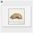 1-69_Anselmus-Boetius-de-Boodt_picture