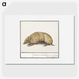 1-69_Anselmus-Boetius-de-Boodt_picture