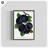 1-69_Botanical-Specimen-Plates_blk-crop