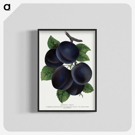 1-69_Botanical-Specimen-Plates_blk-crop