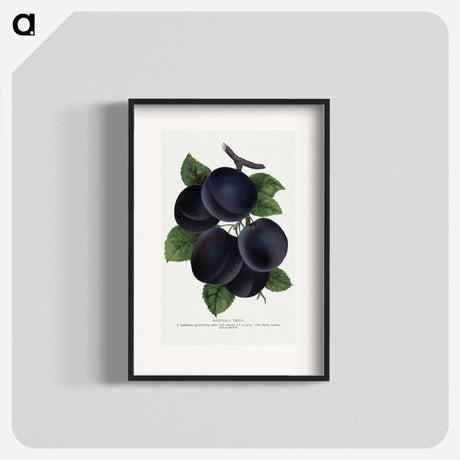 1-69_Botanical-Specimen-Plates_blk