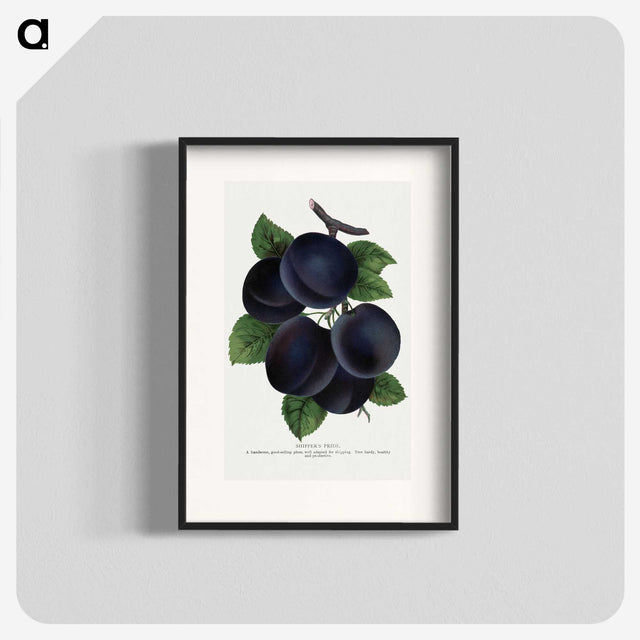1-69_Botanical-Specimen-Plates_blk