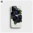 1-69_Botanical-Specimen-Plates_phone
