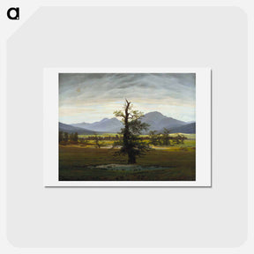 アートポストカード-Solitary Tree - カスパー ダーヴィト フリードリヒ Postcard.