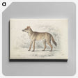 1-69_Charles-Hamilton-Smith_canvas