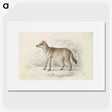 1-69_Charles-Hamilton-Smith_picture