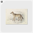 1-69_Charles-Hamilton-Smith_postcard