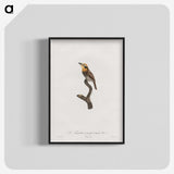1-69_Des-Oiseaux-de-Paradis_blk-crop