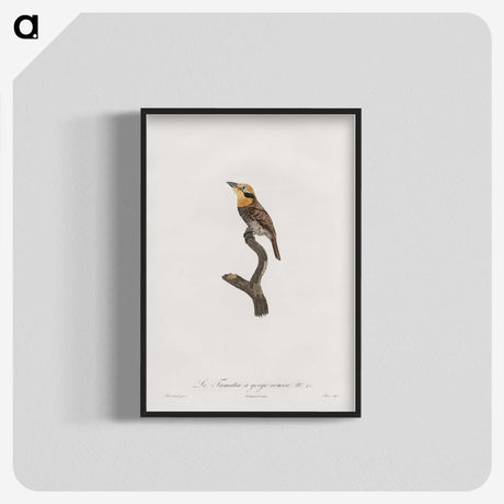 1-69_Des-Oiseaux-de-Paradis_blk-crop