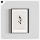 1-69_Des-Oiseaux-de-Paradis_blk