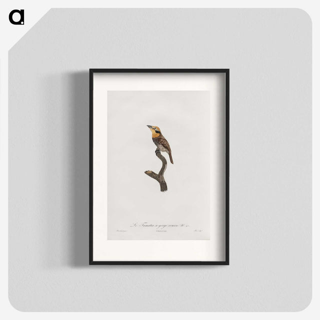 1-69_Des-Oiseaux-de-Paradis_blk