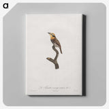 1-69_Des-Oiseaux-de-Paradis_canvas