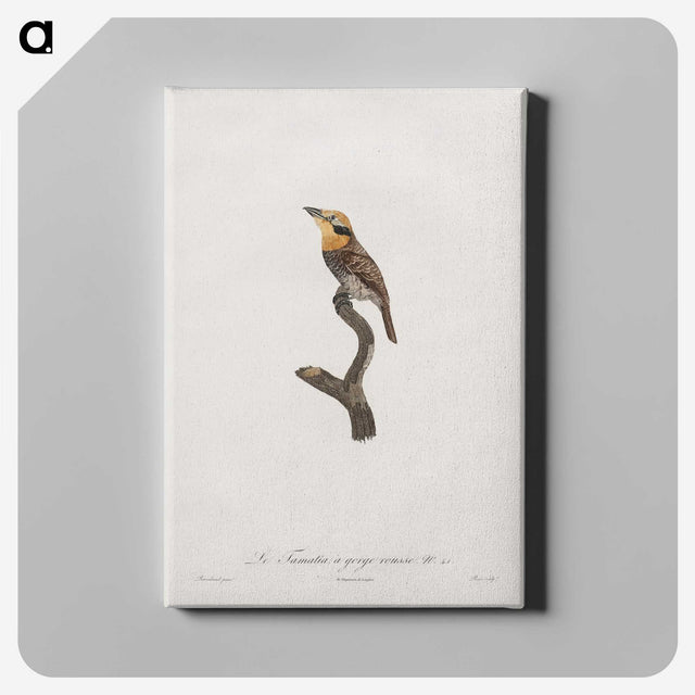 1-69_Des-Oiseaux-de-Paradis_canvas