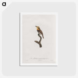 1-69_Des-Oiseaux-de-Paradis_hagaki