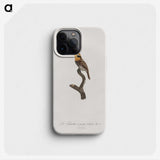 1-69_Des-Oiseaux-de-Paradis_phone