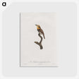 1-69_Des-Oiseaux-de-Paradis_postcard