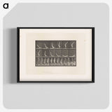 1-69_Eadweard-Muybridge_blk-crop