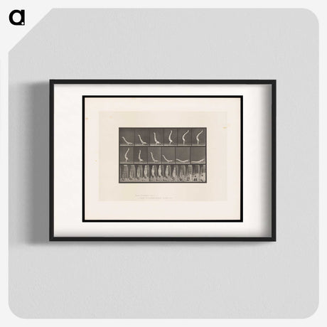 1-69_Eadweard-Muybridge_blk