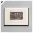 1-69_Eadweard-Muybridge_canvas