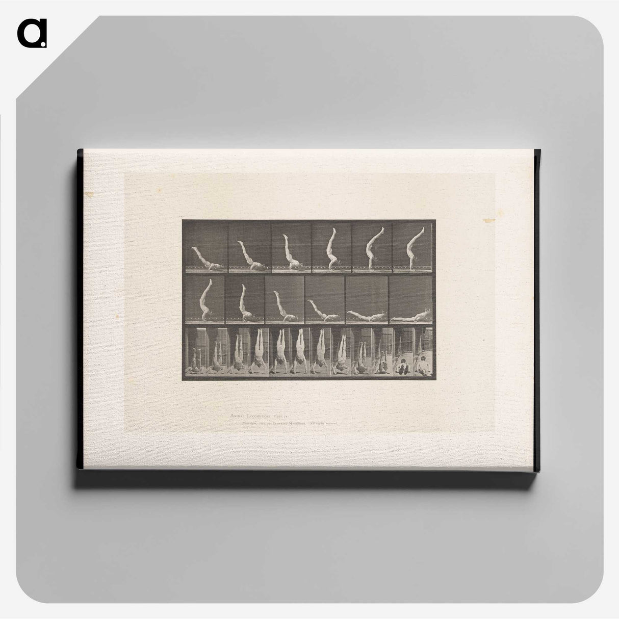 1-69_Eadweard-Muybridge_canvas