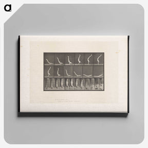 1-69_Eadweard-Muybridge_canvas