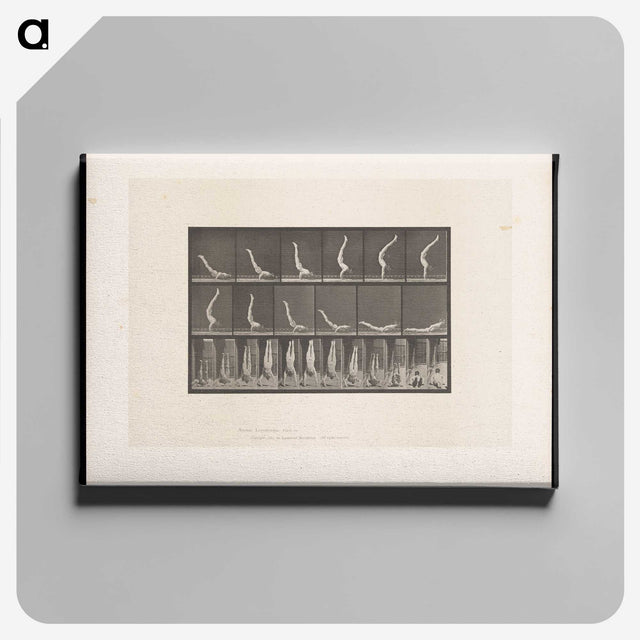 1-69_Eadweard-Muybridge_canvas